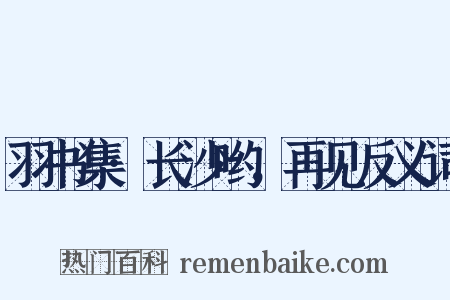 羽书集·长沙哟，再见反义词是什么意思的图片